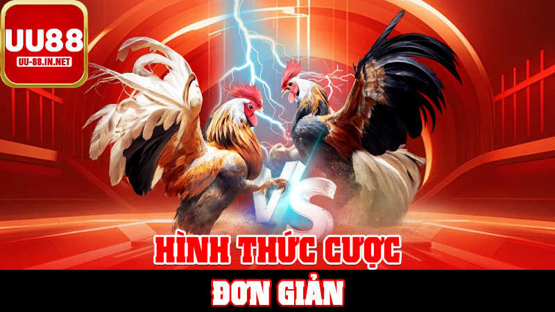 Hình Thức Cược Đơn Giản