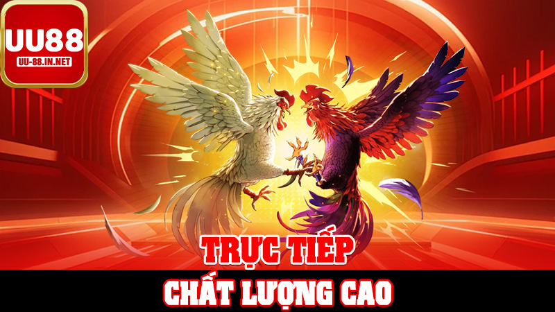 Trực Tiếp Chất Lượng Cao